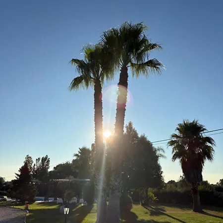 Sofia Garden & Relax *