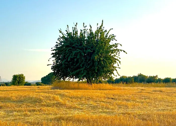 Vakantiehuis Sofia Garden & Relax