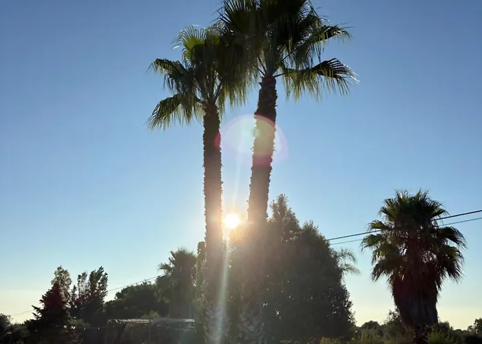 Sofia Garden & Relax *